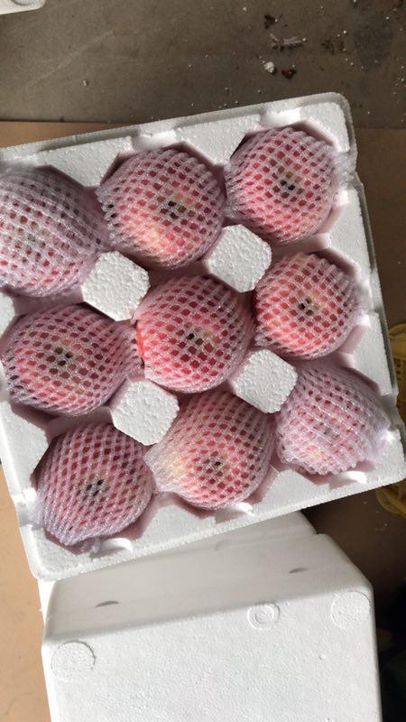 /Upload/Product/0467571665f448b0bdcd057be9fddeee.jpg?width=272&height=203&bgcolor=fff