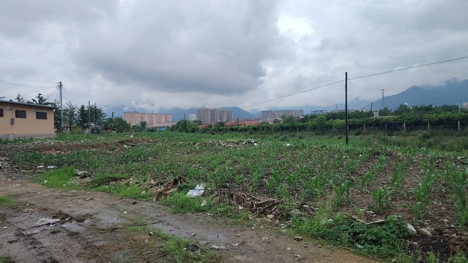 /Upload/Product/049ff44aabb24b5492a44ac6ae4deb19.jpg?width=272&height=203&bgcolor=fff