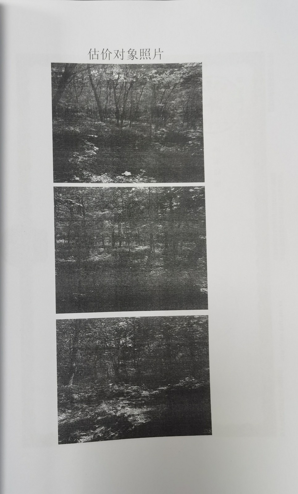 /Upload/Product/057a7e1ca67c4fc2986aa2294c2cf710.jpg?width=272&height=203&bgcolor=fff