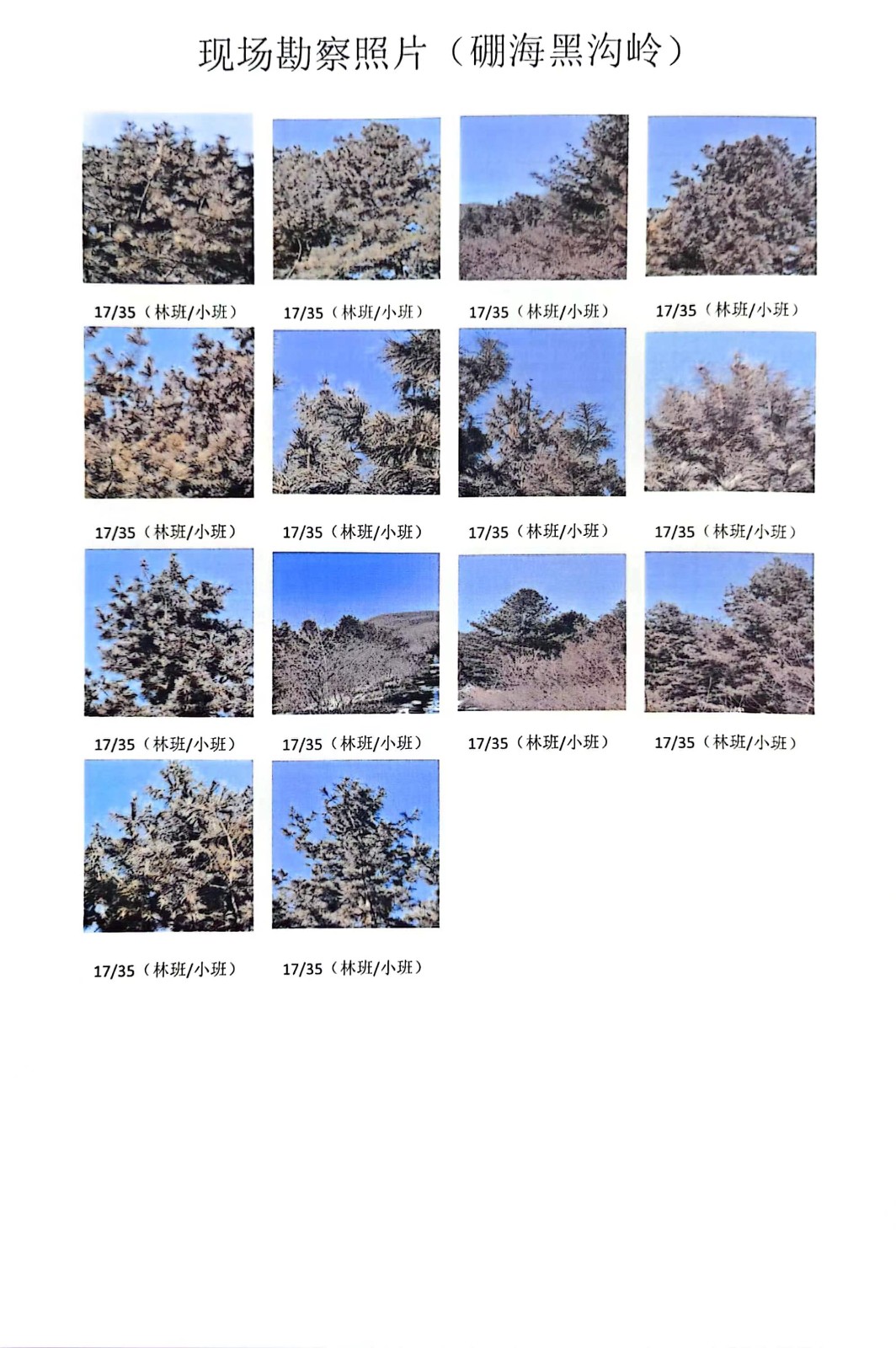 /Upload/Product/069c1d4127e04756b84da40e3d741551.jpg?width=272&height=203&bgcolor=fff