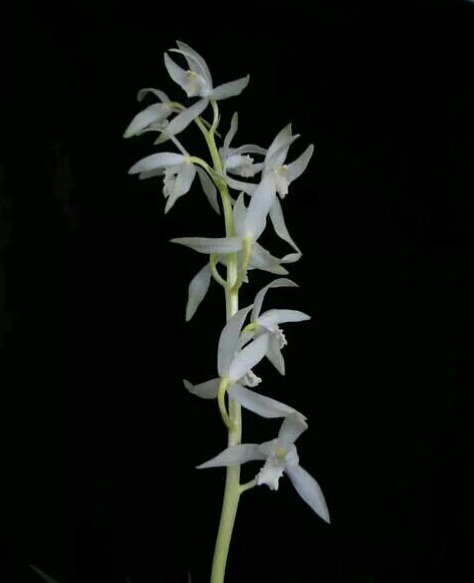 /Upload/Product/09f4680935d94f1681a56c67acc66857.png?width=272&height=203&bgcolor=fff