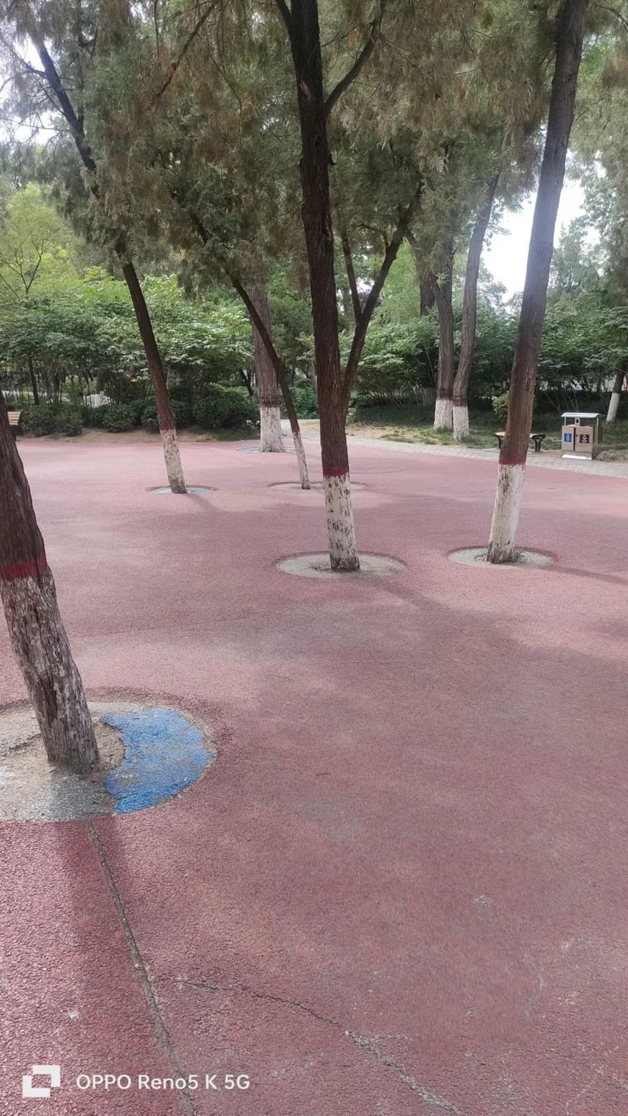 /Upload/Product/152b976100ca4548b0bb5049fa3668e1.jpg?width=272&height=203&bgcolor=fff