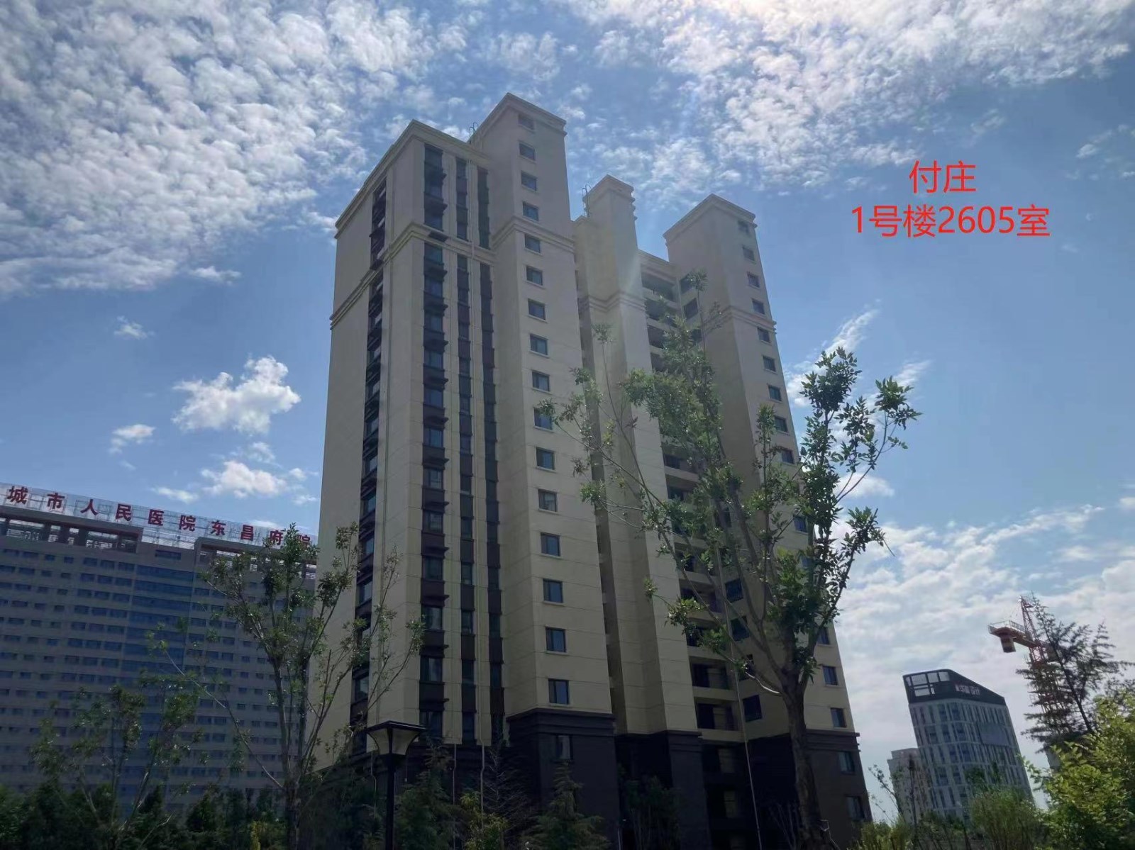 /Upload/Product/15e44011377948839244f0da44aee058.jpg?width=272&height=203&bgcolor=fff