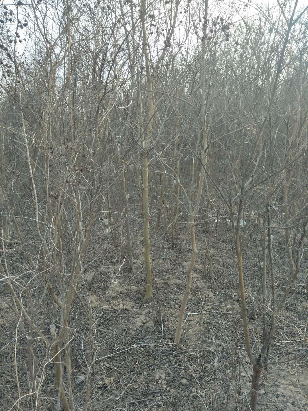 /Upload/Product/178cd88af902466b8a485bc6a35fb653.jpg?width=272&height=203&bgcolor=fff