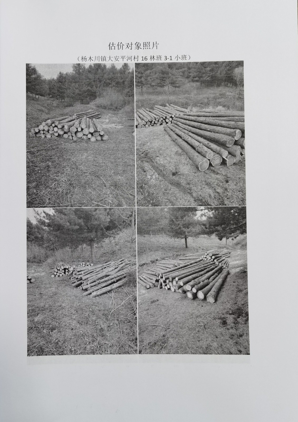 /Upload/Product/190d95c859cd4e098f5be78c4f477e50.jpg?width=272&height=203&bgcolor=fff