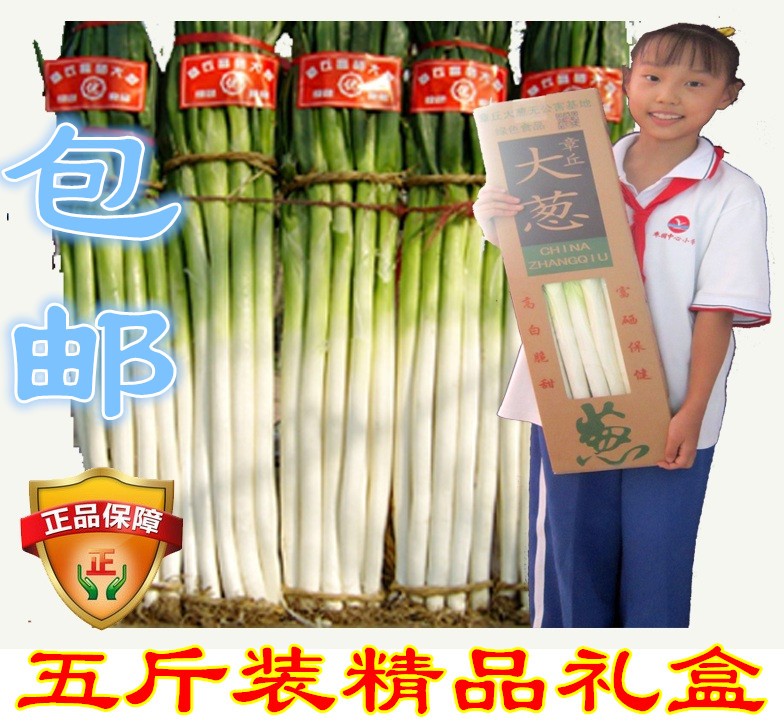 /Upload/Product/1d575fabaef84bed9c8652cda0ae8d9f.jpg?width=200&height=148&bgcolor=fff