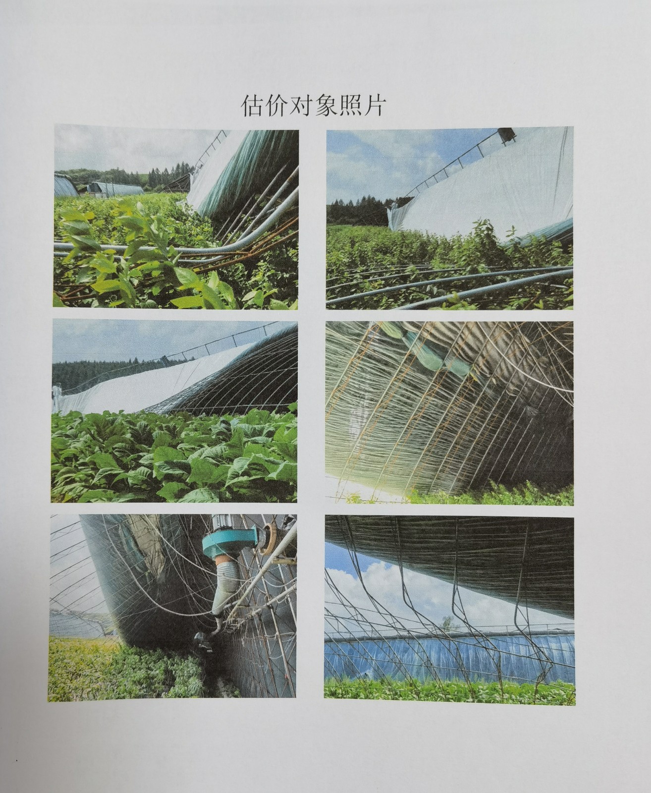 /Upload/Product/1e2f59d5cd1e4237aec6d22f911bca08.jpg?width=272&height=203&bgcolor=fff