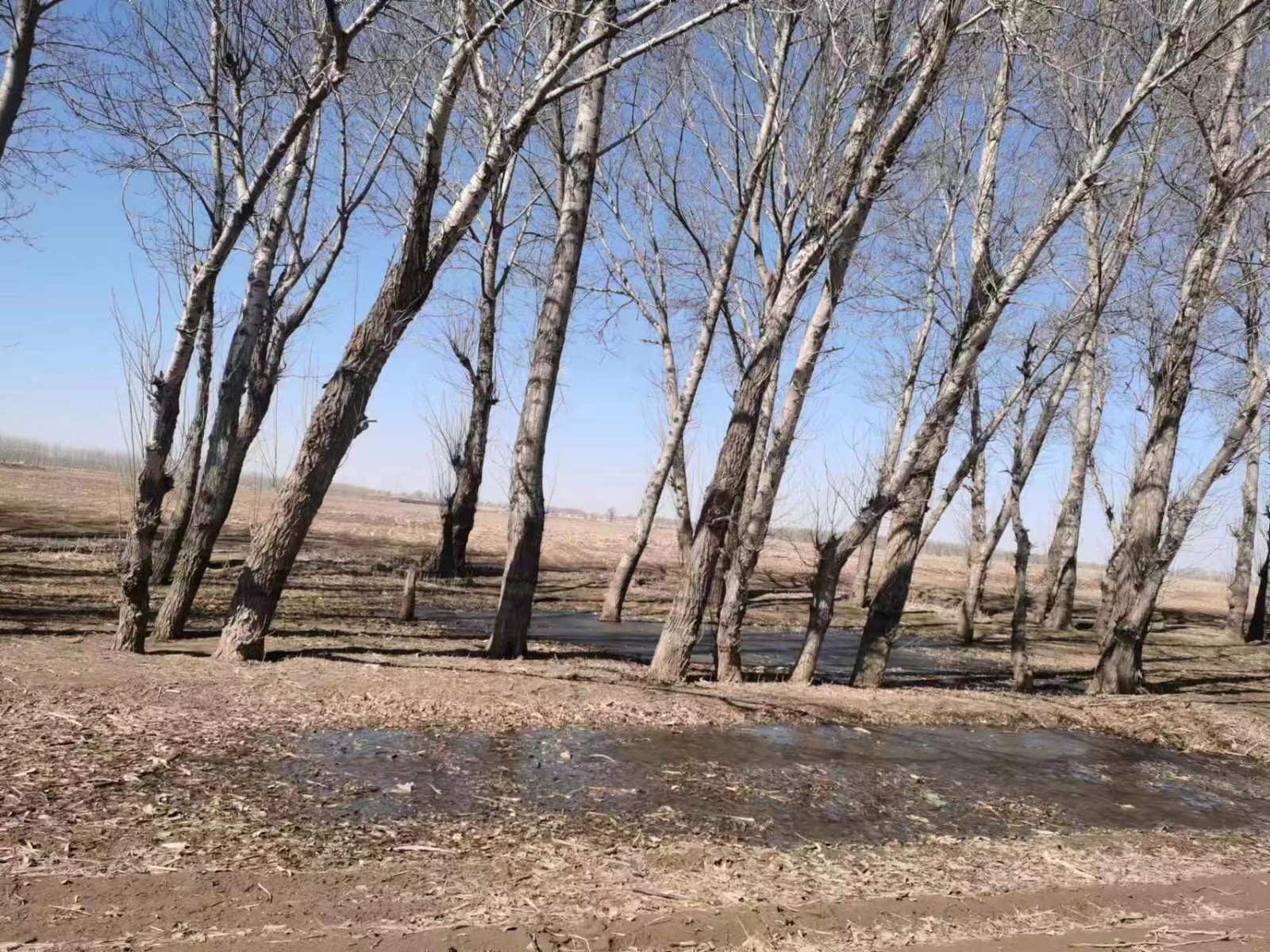 /Upload/Product/1e6cf7ca9b724ee08952815edc622e25.jpg?width=272&height=203&bgcolor=fff