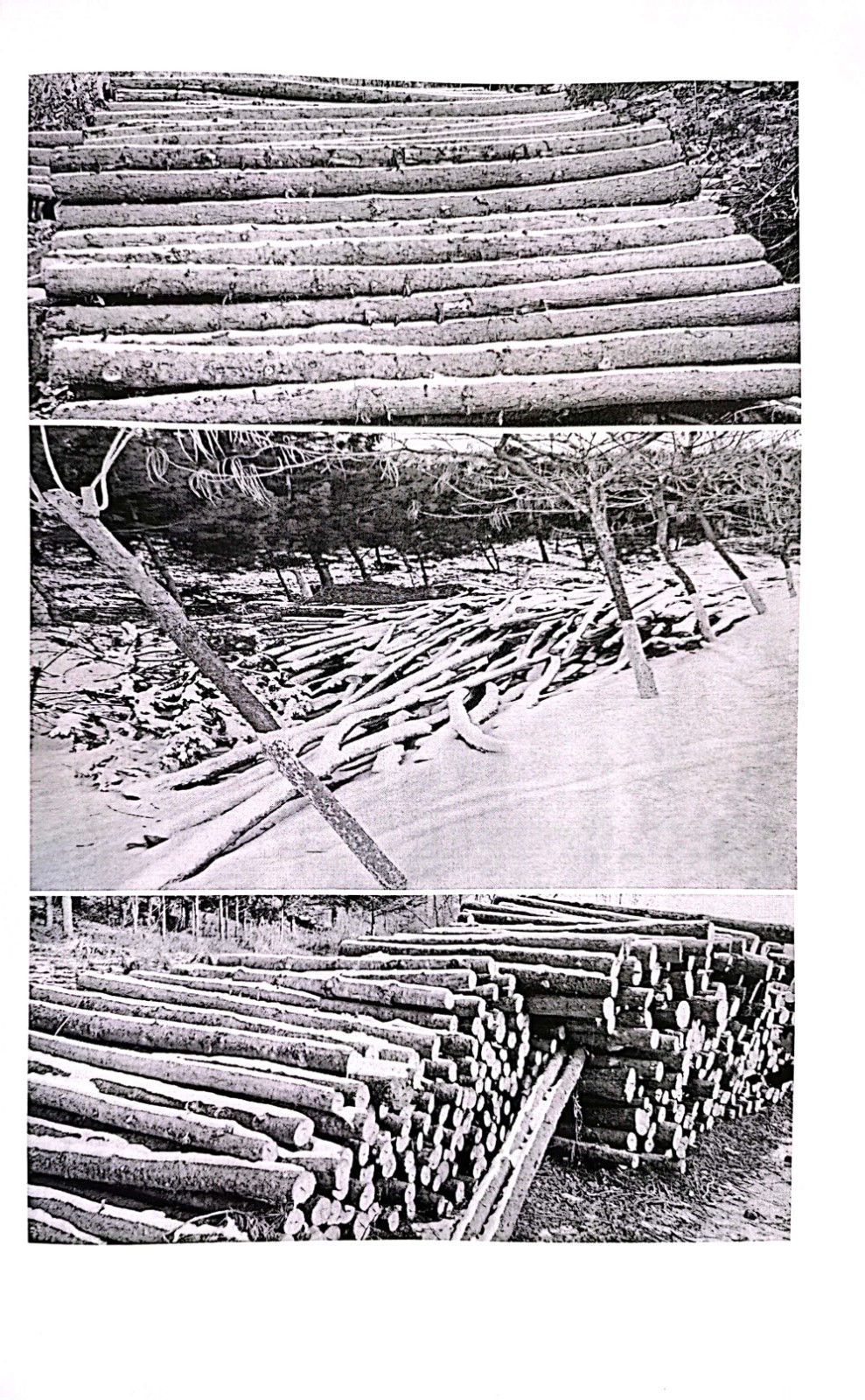 /Upload/Product/1e7704a03d6e44e5bb70e0d19f75a456.jpg?width=272&height=203&bgcolor=fff