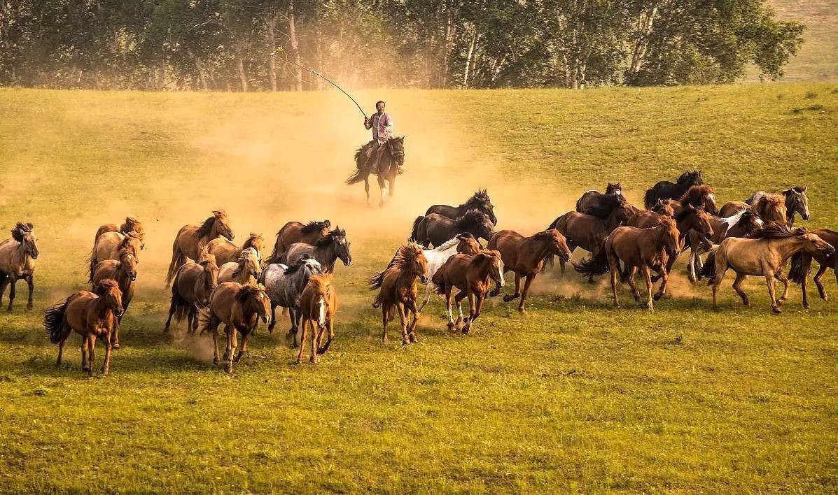 /Upload/Product/1f94753413cc4a56ada614b473181b0e.jpg?width=272&height=203&bgcolor=fff