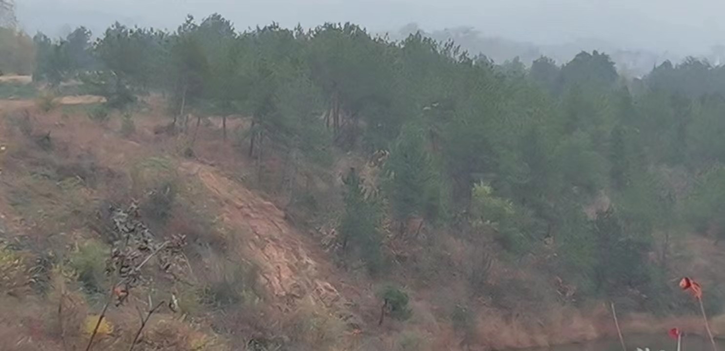 /Upload/Product/1f9fbb376a724446ae82481e1eb54e56.jpg?width=272&height=203&bgcolor=fff