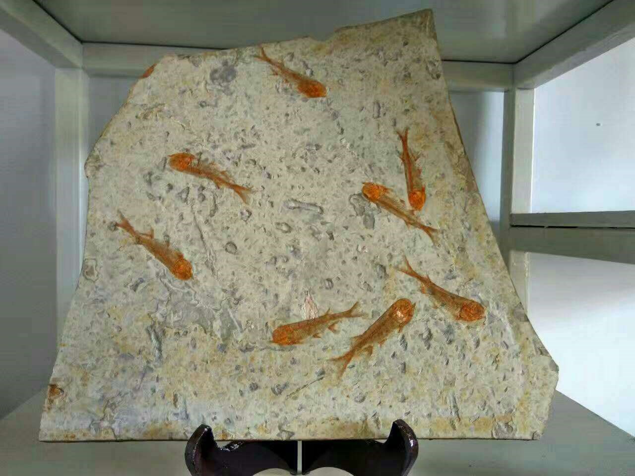 /Upload/Product/2016123030193019299.jpg?width=272&height=203&bgcolor=fff