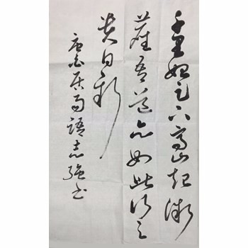 /Upload/Product/2017031537093792666.jpg?width=272&height=203&bgcolor=fff