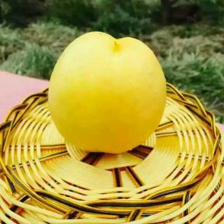 /Upload/Product/2017060232053259623825.jpg?width=272&height=203&bgcolor=fff