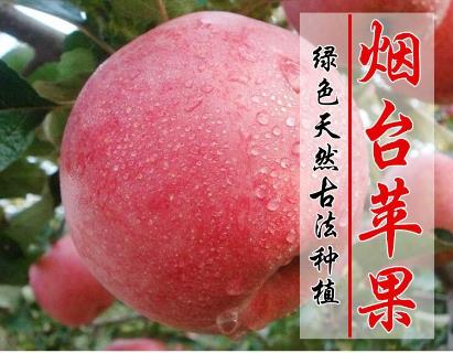 /Upload/Product/2017110304044412405683.jpg?width=272&height=203&bgcolor=fff