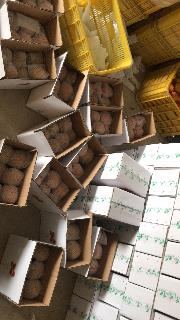 /Upload/Product/20171107370537512405252.jpg?width=272&height=203&bgcolor=fff