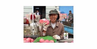 /Upload/Product/20171112113011301901.jpg?width=272&height=203&bgcolor=fff