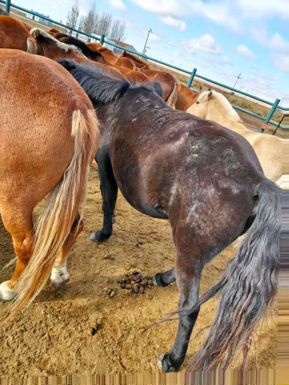 /Upload/Product/2359ac4d050540ce832a398bda66d69f.jpg?width=272&height=203&bgcolor=fff