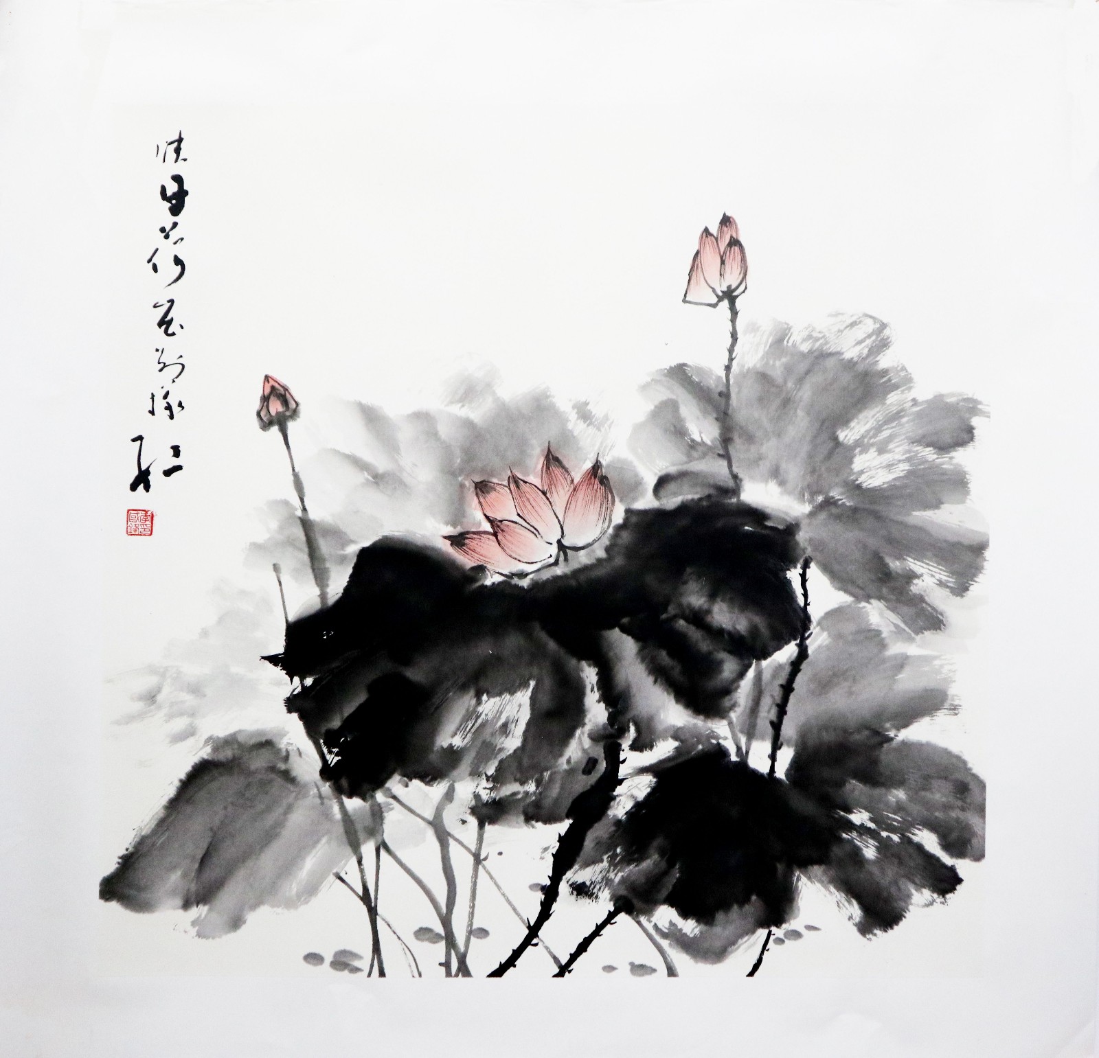 /Upload/Product/24b9ca1a6a3644eb8845f5d76671edf5.jpg?width=272&height=203&bgcolor=fff