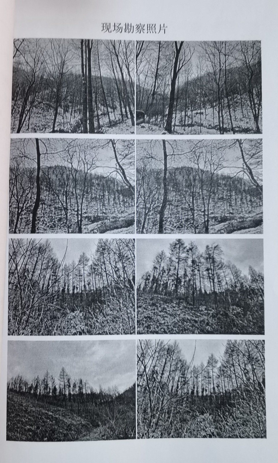 /Upload/Product/254d2a500254493ba8544b9c9a747e91.jpg?width=272&height=203&bgcolor=fff