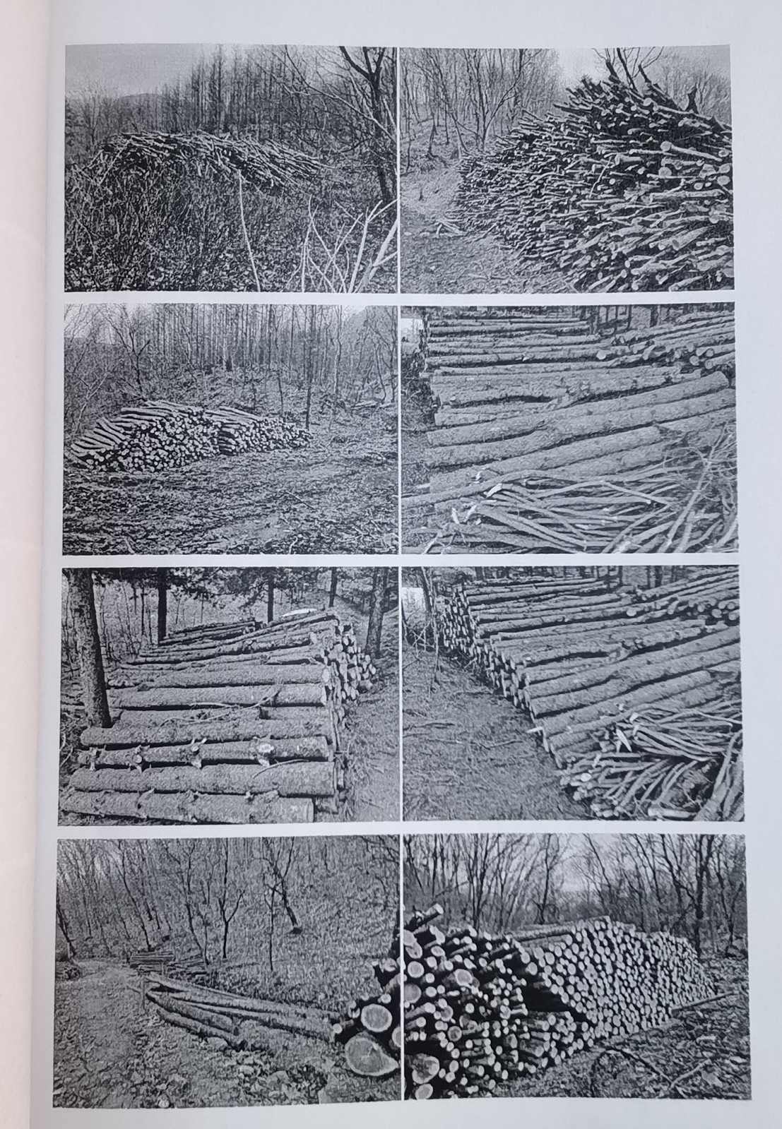 /Upload/Product/2743a7a41626498ba5a89328536efb6c.jpg?width=272&height=203&bgcolor=fff