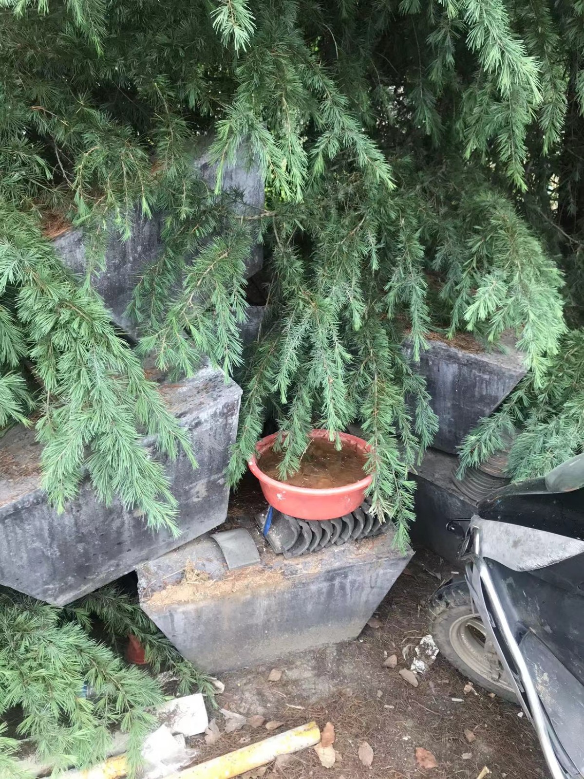 /Upload/Product/2755800531d94d4bad8ef2d5f038a617.jpg?width=272&height=203&bgcolor=fff