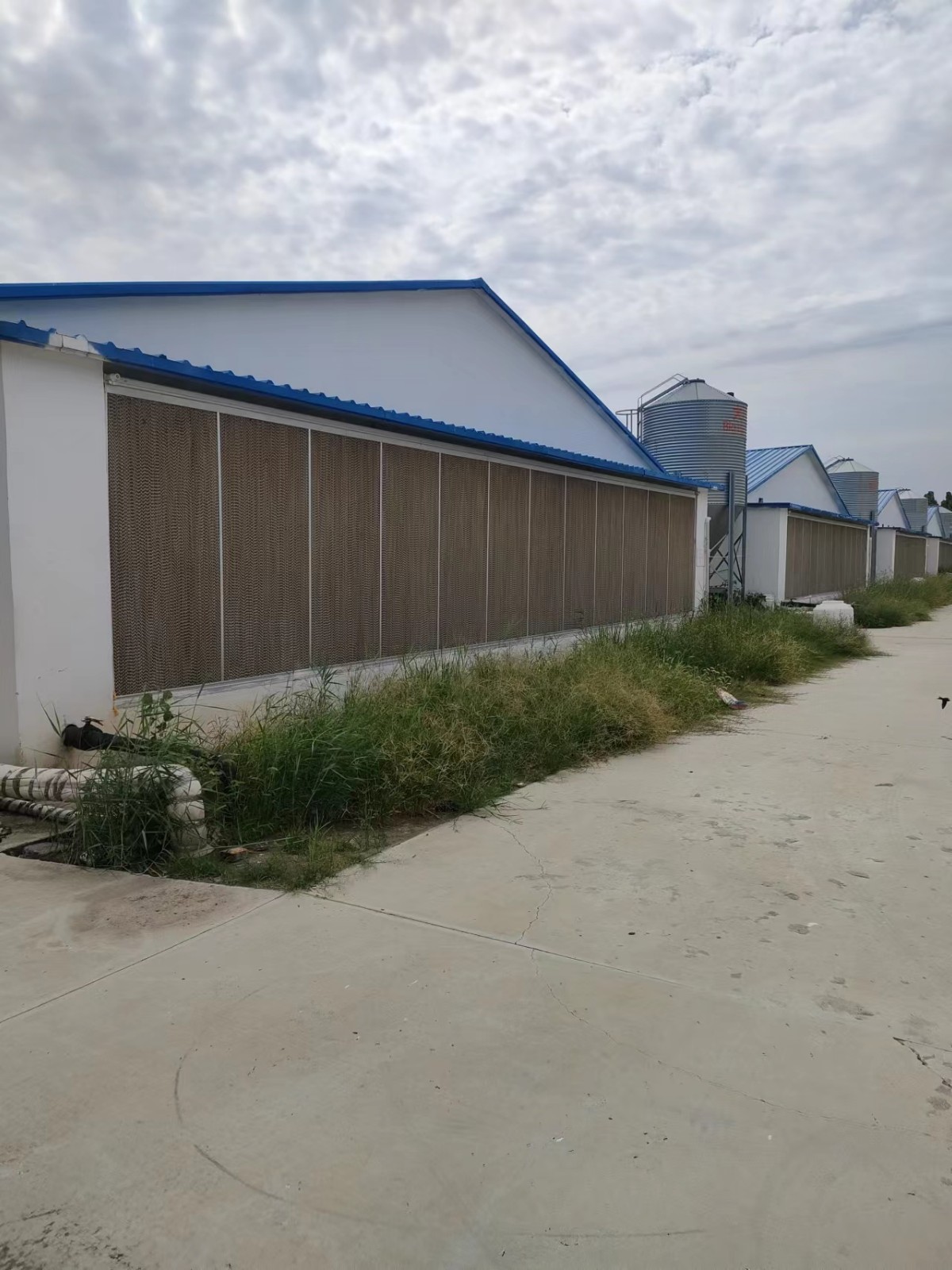 /Upload/Product/2abc960a878244d6a8a7a04d1fbcb156.jpg?width=272&height=203&bgcolor=fff