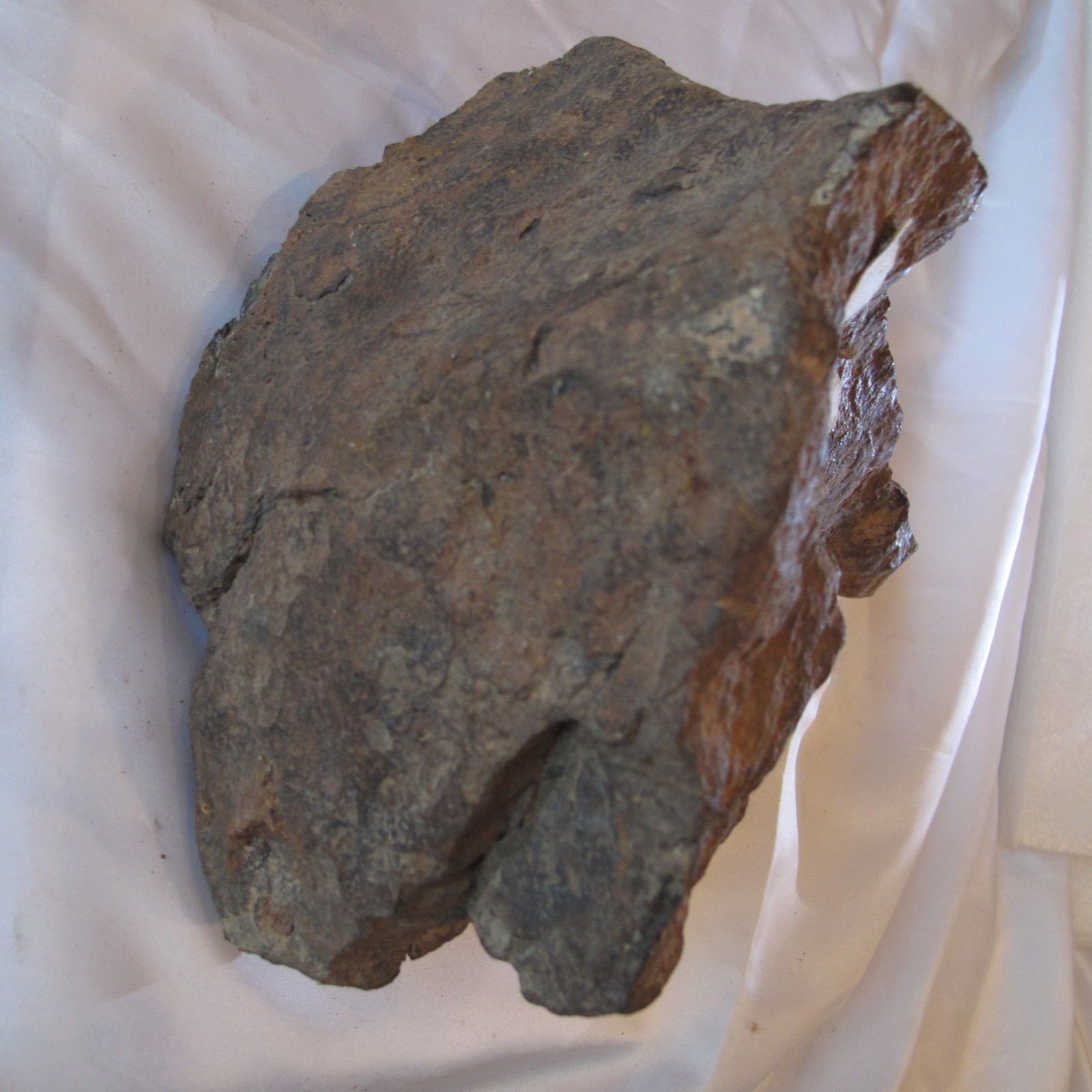 /Upload/Product/2e9bc129713f44fca8a94f4f09a27c3b.JPG?width=200&height=1483&bgcolor=fff