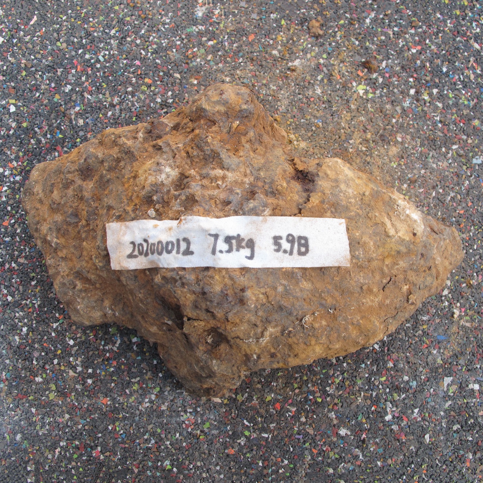 /Upload/Product/2fbb40482f0a4ad5956e1d5cdda4809c.JPG?width=272&height=203&bgcolor=fff