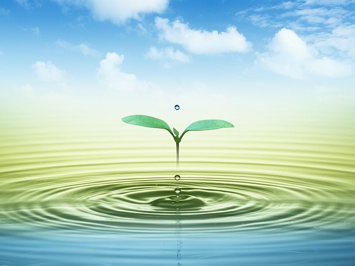 /Upload/Product/3076a0c482014f278e8b98c71536813e.jpg?width=272&height=203&bgcolor=fff