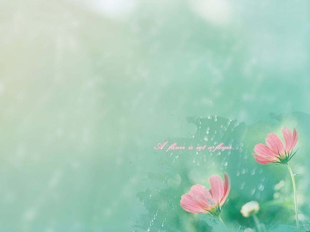 /Upload/Product/35c2774908114e76adb175132b71b543.jpg?width=272&height=203&bgcolor=fff