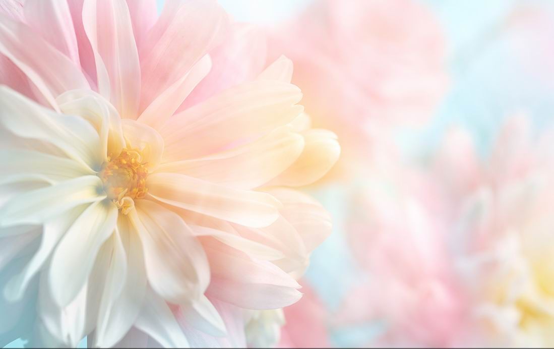 /Upload/Product/366c151ae9974a94ab8063ad83ecfc37.JPG?width=200&height=148&bgcolor=fff