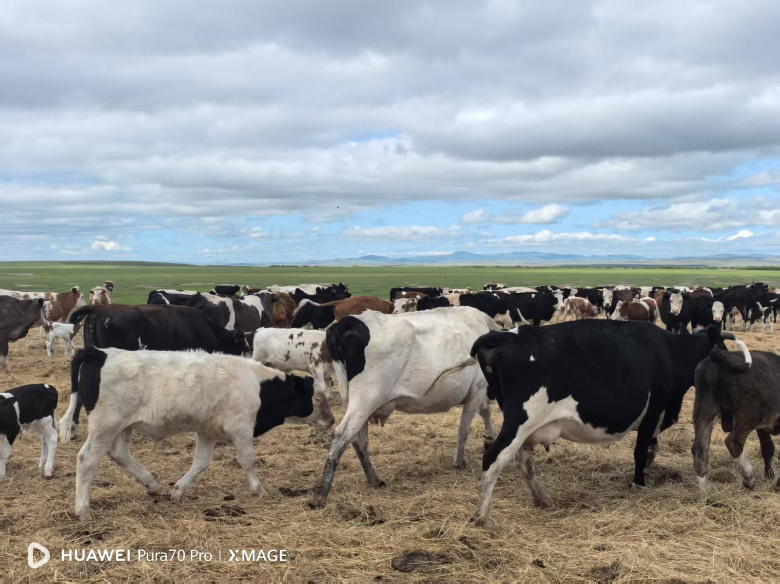 /Upload/Product/36e059d287bf4155bb056331a696018f.jpg?width=272&height=203&bgcolor=fff