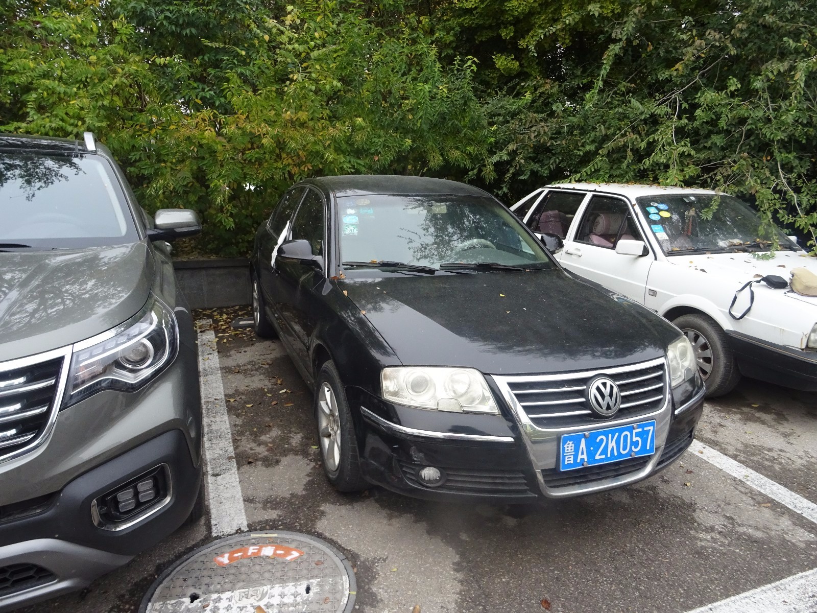 /Upload/Product/3f4a271eaa91460cb7dd16396c620956.JPG?width=272&height=203&bgcolor=fff