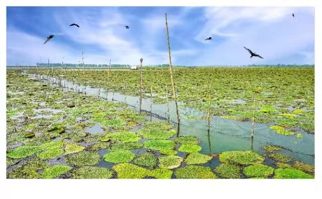 /Upload/Product/46e224e6a2f945f4b9994a83f0bdcdd5.jpg?width=272&height=203&bgcolor=fff