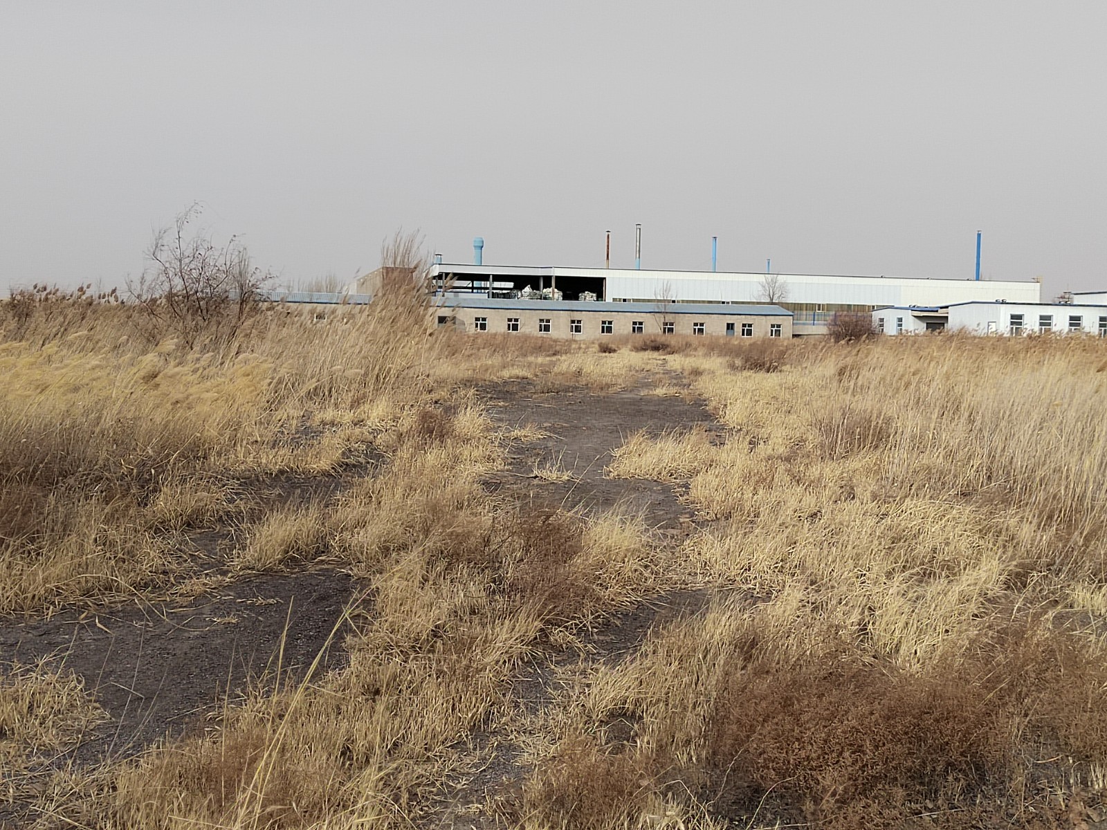 /Upload/Product/4a8f5948f4e54713804181a9170a8882.jpg?width=272&height=203&bgcolor=fff