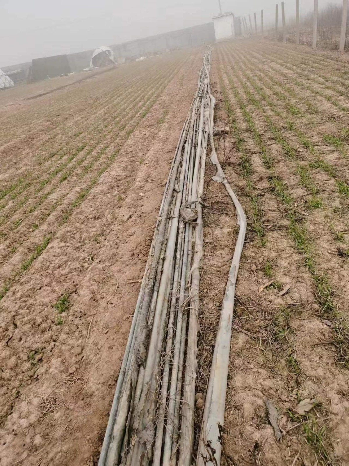 /Upload/Product/4b307bae76b742a2bf4b6c2d879d4ea2.jpg?width=272&height=203&bgcolor=fff