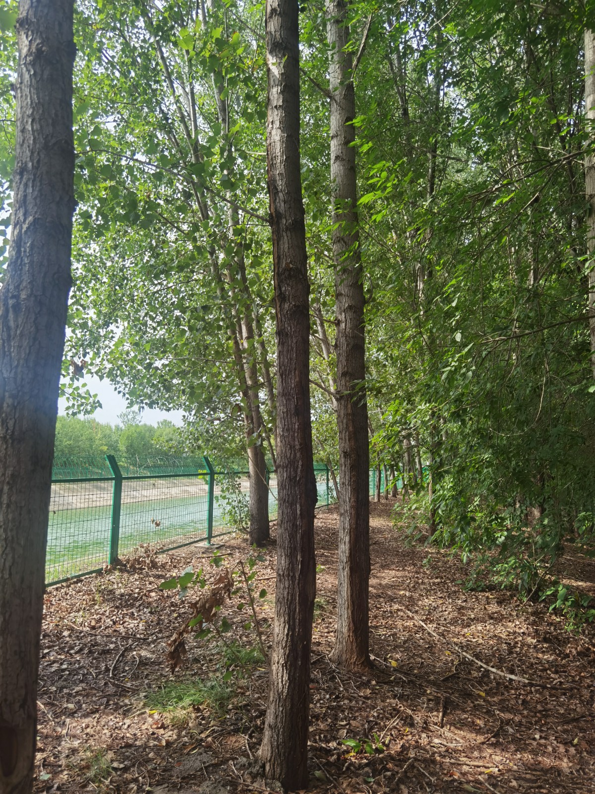 /Upload/Product/4cdf97fd54b64b50ab03e8923a94877a.jpg?width=272&height=203&bgcolor=fff