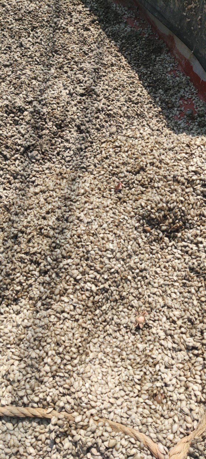 /Upload/Product/4f26d0bda12442ff8b04abb9c8722da5.jpg?width=272&height=203&bgcolor=fff