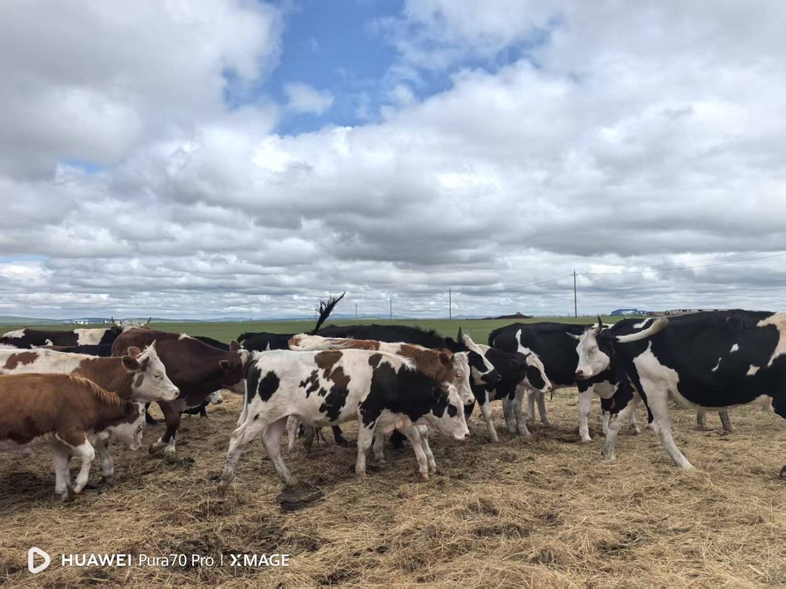 /Upload/Product/56aea45b040f4969bd32b692bd8009c5.jpg?width=272&height=203&bgcolor=fff