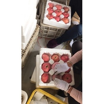 /Upload/Product/5a70eb6e3fa34f249e564c7120f23990.jpg?width=272&height=203&bgcolor=fff