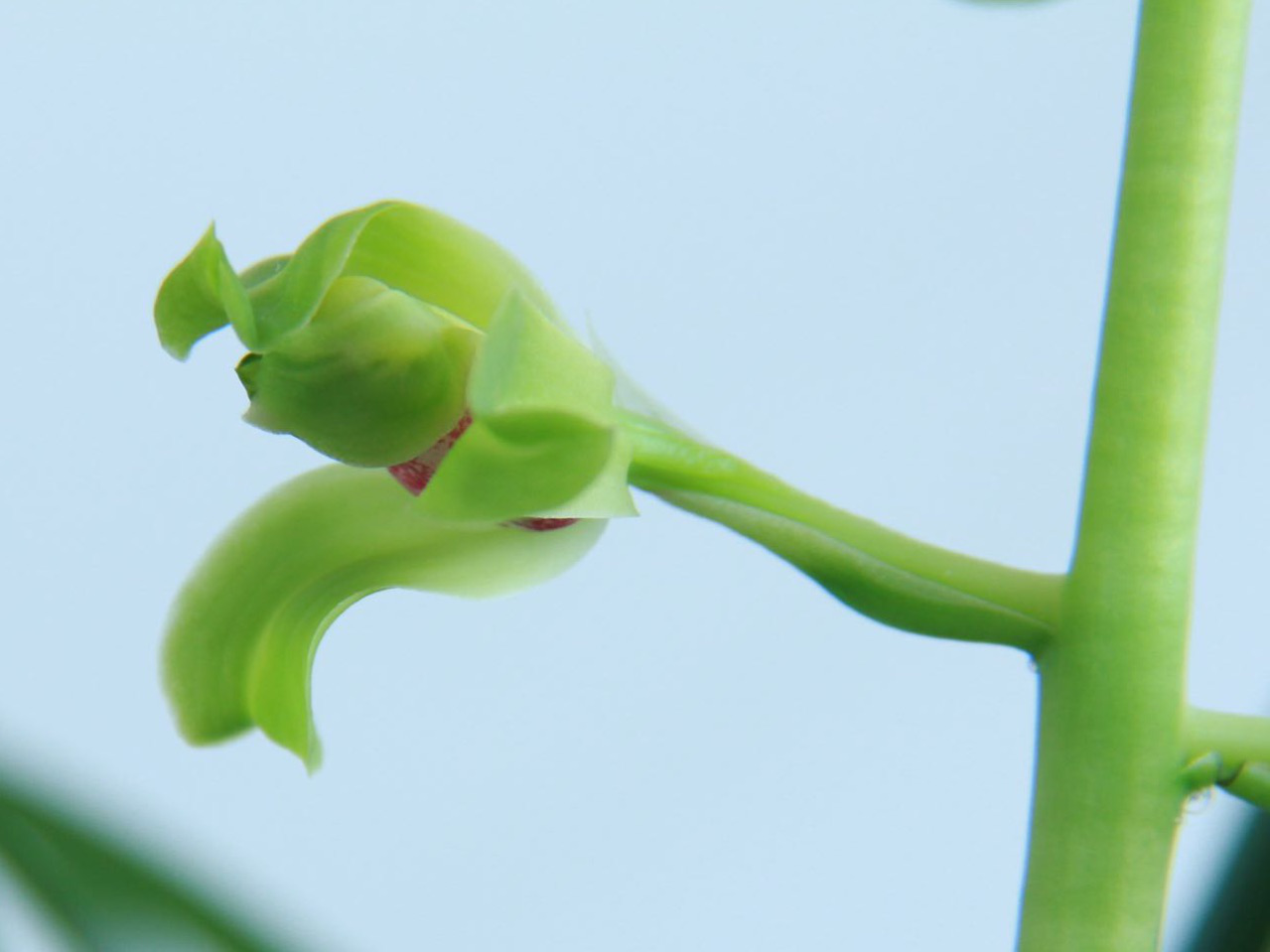 /Upload/Product/5d2096ade8474704b029f3493e341e4b.png?width=272&height=203&bgcolor=fff