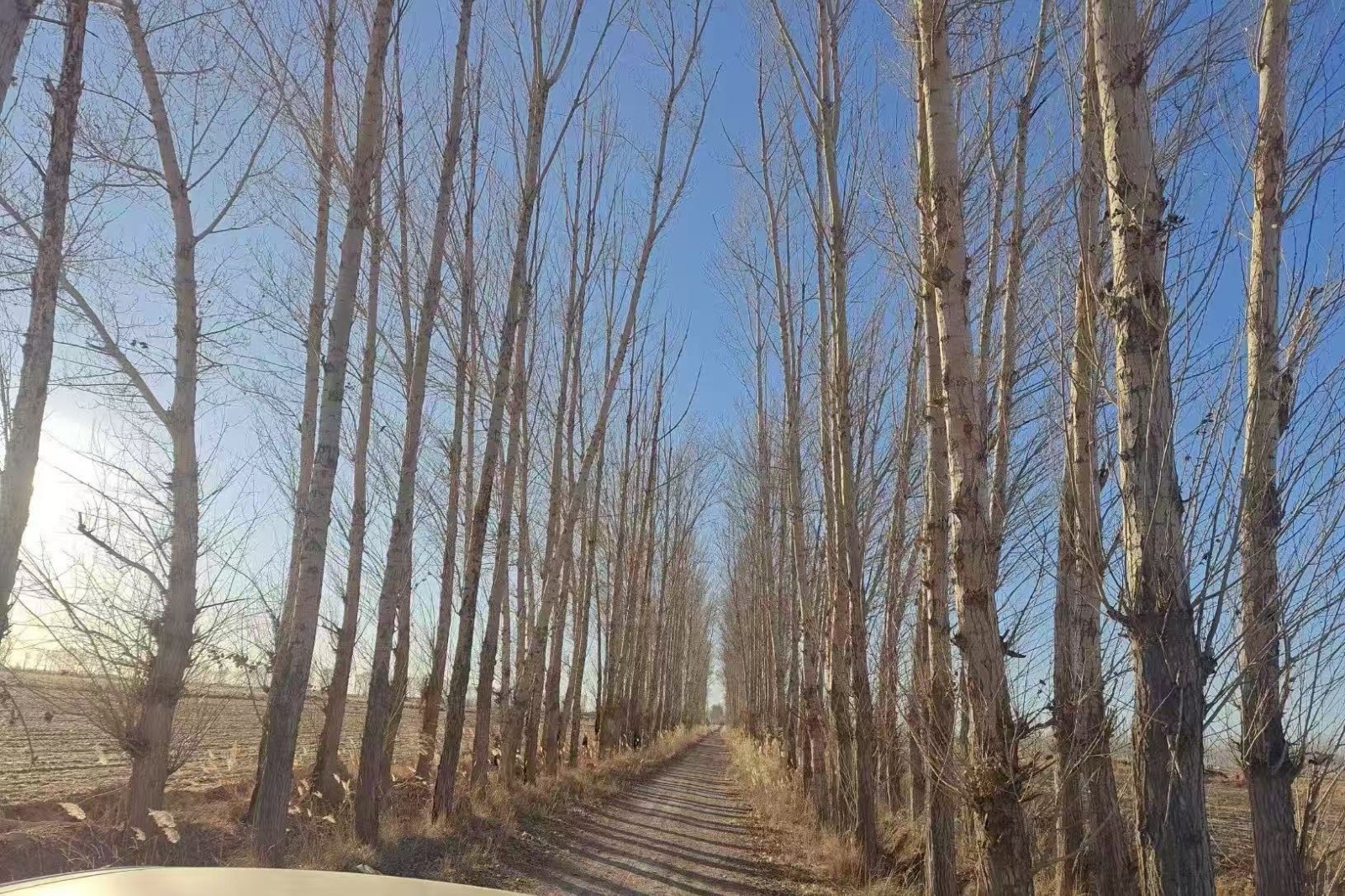 /Upload/Product/5f8aa3d6feb64689bea47da7143c2308.jpg?width=272&height=203&bgcolor=fff