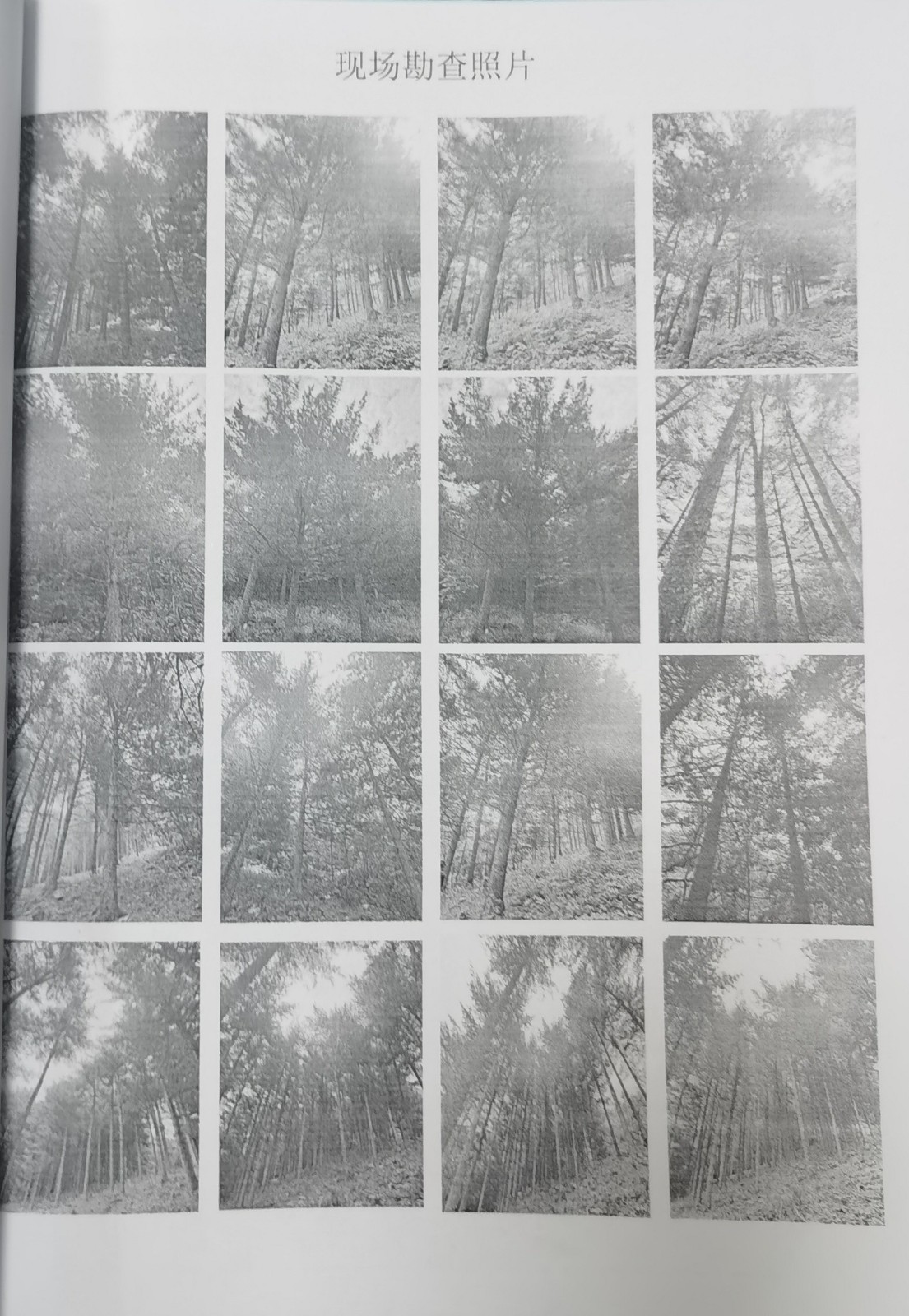 /Upload/Product/6a71c1e38e9c416bbf866641a2ff83b6.jpg?width=272&height=203&bgcolor=fff