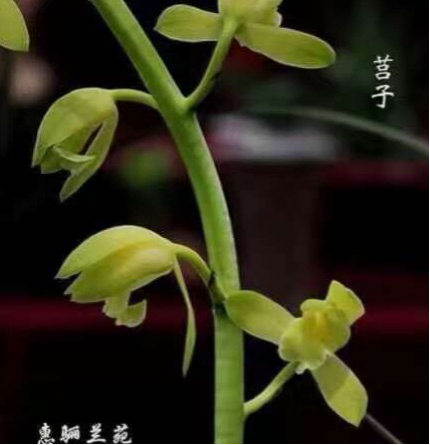 /Upload/Product/6ba5560a2b304847881df24e05987ebf.png?width=272&height=203&bgcolor=fff