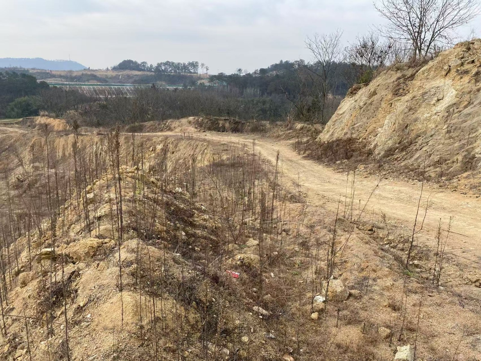 /Upload/Product/6e03063c79fe4bb7bcd7b1175209d862.jpg?width=272&height=203&bgcolor=fff