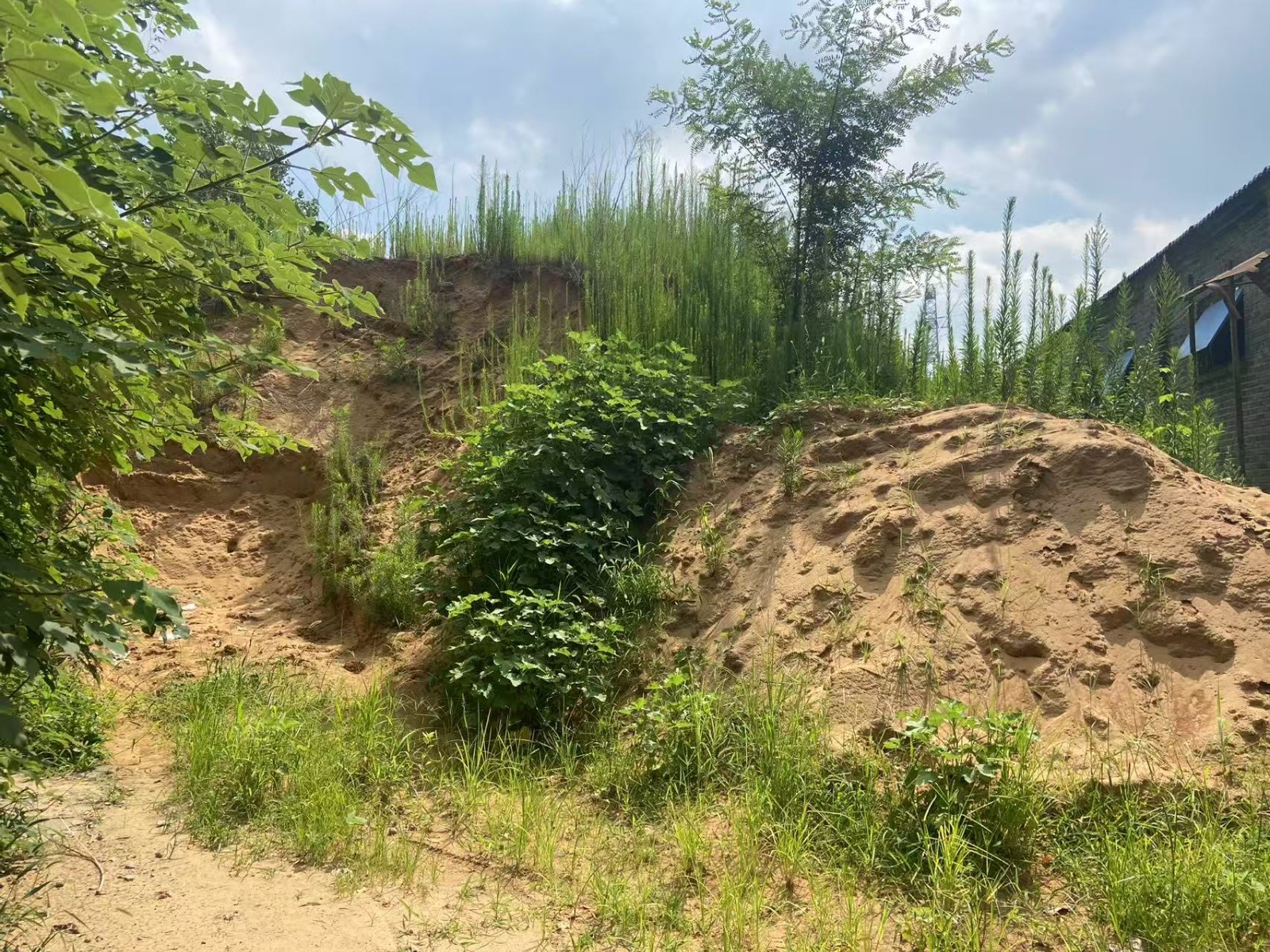 /Upload/Product/6ebac7c581b44ee48fee09838c51775d.jpg?width=272&height=203&bgcolor=fff