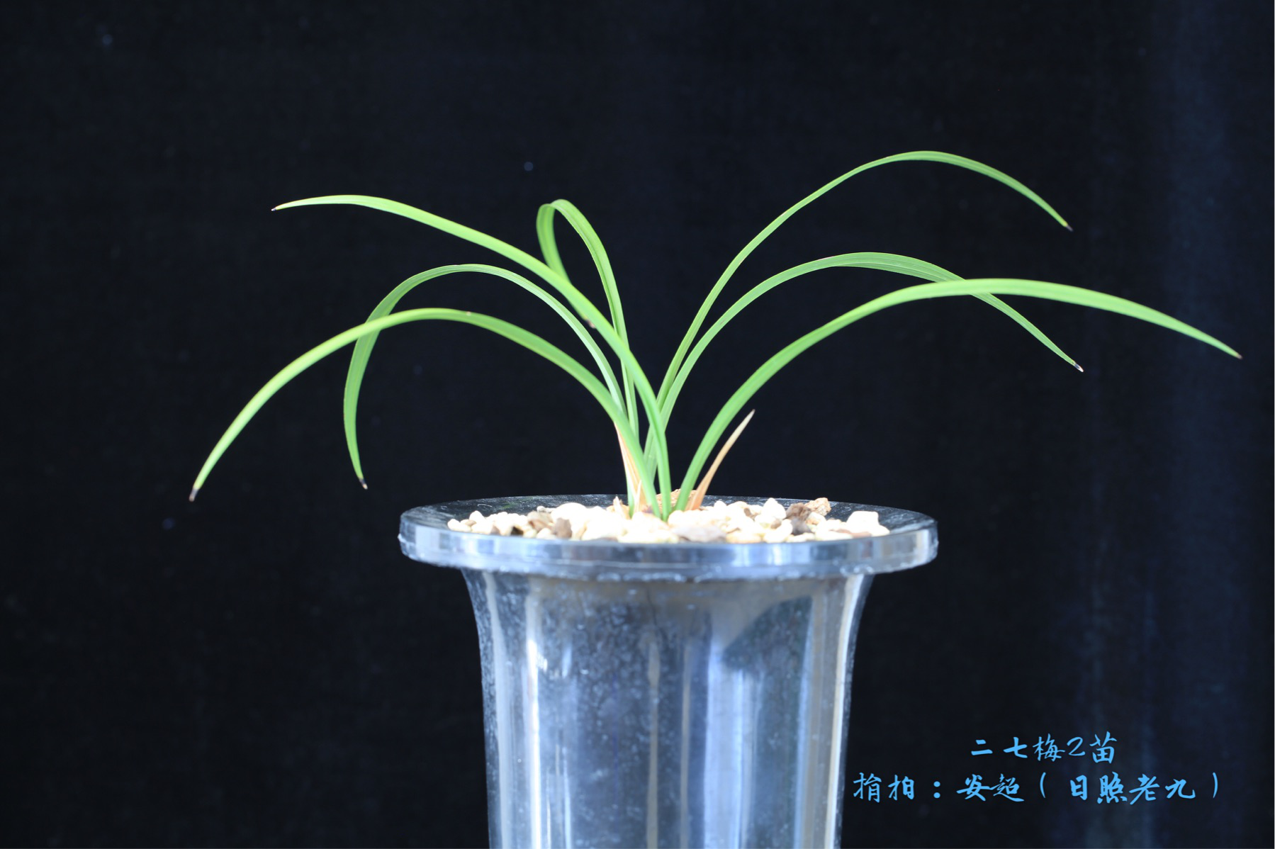 /Upload/Product/766b0d3900a14fd993f3322b99cd76dc.png?width=272&height=203&bgcolor=fff