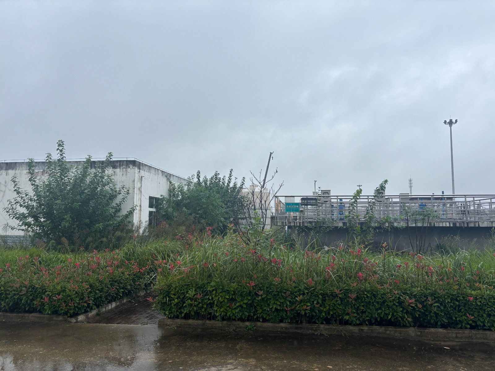 /Upload/Product/7a73ad2ebe7f43f79a7f9b8b83fde90d.jpg?width=200&height=148&bgcolor=fff