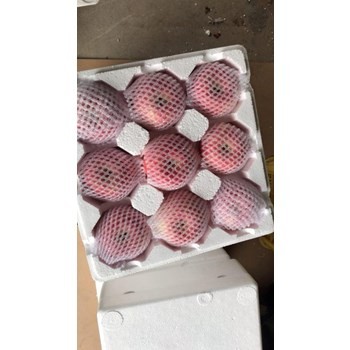 /Upload/Product/82cdafa6d3314a83bd1b36e444744ad6.jpg?width=272&height=203&bgcolor=fff